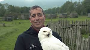 Schnee Eule Hedwig Uberrascht Familie Mit Harry Potter Buchlieferung Youtube If you're up there would you mind coming down for a few minutes, please? the older witch nodded her solemn understanding. schnee eule hedwig uberrascht familie mit harry potter buchlieferung
