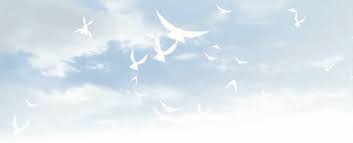Colorful Birds Flying In The Sky Gif Https Encrypted Tbn0 Gstatic Com Images Q Tbn 3aand9gctzzzzwcbaxrbdlivpsefnbaz5yqic4ufrafa Usqp Cau