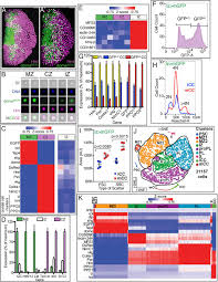 Facebook लोगों को साझा करने की. Paths And Pathways That Generate Cell Type Heterogeneity And Developmental Progression In Hematopoiesis Biorxiv