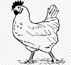 About 82 png for 'black chicken png'. Animal Cartoon