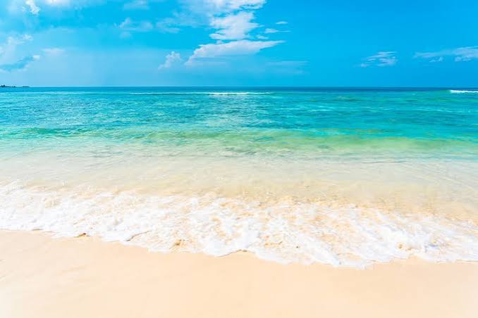 Ocean beach Images - Free Download on Magnific (formerly Freepik)
