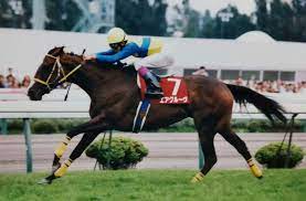 札幌記念 札幌 芝2000 14 良 1:59.9 ダイワカーリアン 田面木博 東 二ノ宮敬 1999/08/22 札幌記念 札幌 芝2000 10 良 2:00.1 セイウンスカイ 横山典弘 東 保田一隆 1998/08/23 札幌記念 札幌 芝2000 12 良 1:59.5 エアグルーヴ 武豊 西 å¹³æˆåå‹è²  ç‰é¦¬ã®æ™‚ä»£ 1997å¹´æœ­å¹Œè¨˜å¿µ ã‚¨ã‚¢ã‚°ãƒ«ãƒ¼ãƒ´ ç«¶é¦¬ã‚³ãƒ©ãƒ  ãƒ‹ãƒ¥ãƒ¼ã‚¹ ã‚¦ãƒžãƒ•ãƒª