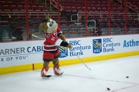 Stormy is the hurricanes mascot. It S Time To Roast The Carolina Hurricanes Mascot