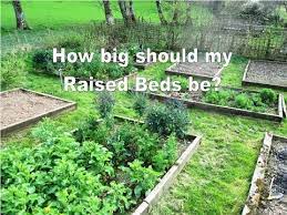 Vegetable beds should be 12 to 18 inches deep. How Big Should My Raised Beds Be Raised Bed Gardening Tips Youtube