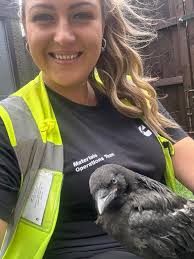 Say hello to my little friend Jeremy 🐦‍⬛ 💙 Edited to add some more pics  of the crows/jackdaws/ravens who visit everyday. Feel like a real life Snow  White in my garden 👸🏻 |