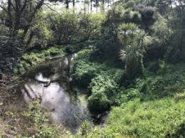 St Lukes Environmental Protection Society » Blog Archive » A successful  final leg of the Mountain to Sea Walk today…