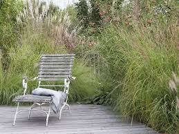 Sichtschutz Mit Pflanzen Die Moglichkeiten Im Uberblick In 2020 Sichtschutz Pflanzen Bambus Pflanzen Pflanzen