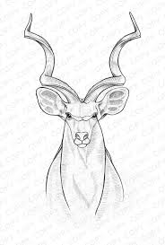 Coloring Pages Ashley Cameron Drawings Animal Sketches Animal Drawings