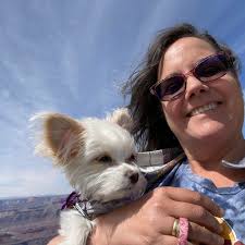 Bringing inside plants back in from summer?