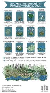 12 Plants To Bring Movement And Light To Dry Shade Shade Garden Plants Shade Plants Plants