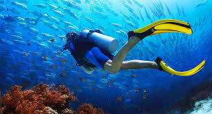 The diving competitions at the 2020 summer olympics in tokyo is planned to feature eight events. Scuba Diving Antalya Bilet