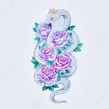 Maybe you would like to learn more about one of these? Sketch Of Snake Cobra With Purple Flowers On A White Background Stock Photo Picture And Royalty Free Image Image 88296272