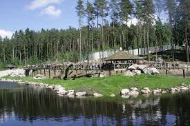 It has about 500 animals of 80 different species. Boras Djurpark Boras Cityseeker