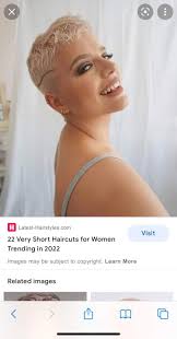 CKCS ear hair short cut pictures needed