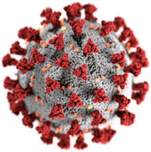 Virus - Wikipedia