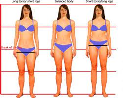 Most dog lovers can't get enough of pups with teeny tiny paws and short, stubby legs, but have you ever stopped to wonder why these breeds have such small legs? Discover Your Body S Vertical Balance Elements Of Image