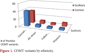 Figure 1 From Catechol O Methyl Transferase Comt Enzyme