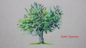 How To Draw A Tree With Polychromos Colored Pencils Drawings Abstract Portrait Colored Pencils In this tutorial, i'll show you how to draw a typical tree, using graphite pencils.
