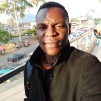 300+ "Stima" profiles