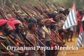 Peristiwa apa yang menjadi latar belakang ditetapkannya hari kebangkitan nasional? Organisasi Papua Merdeka Opm Sejarah Penyebab Konflik