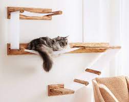 October 10, 2015 at 3:24 pm. What To Know About Cat Shelving Martha Stewart