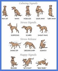 Dog Training Dog Sitting Checklist Dog Sitting Photography Training Your Dog Dog Training Dog Training Techniques