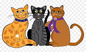 This is because the gene that codes for orange fur is on the x chromosome, and like humans, females have two xs and males are xy. These Cats Are Orange Cat On The Left Black Cat In 3 Cats Clip Art Free Transparent Png Clipart Images Download