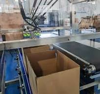 Automatic Delta Robot Carton Packer, Spider Hand Carton Packing Machine