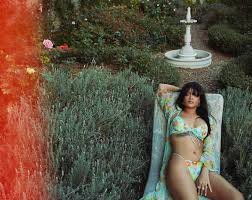 Rihanna sets pulses racing as she puts on a sultry dance in sheer lingerie for savage x fenty's valentine's day line. Rihanna Rihanna Twitter