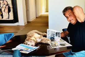 American actor, director, producer, and screenwriter sylvester stallone has a net worth of $420 million dollars, as of 2021. Sylvester Stallone Sells Beverly Hills Mansion For 110 Million Canyon News