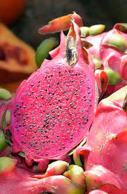 A pitaya or pitahaya is the fruit of several different cactus species indigenous to the americas. Rote Drachenfrucht Pitahaya Hylocereus Costaricensis 20 Samen Blutenpracht Samen Seedeo Samenraritaten