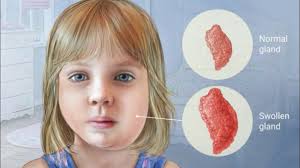 Super Safi's Monday Morning Musings 29