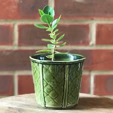 Vintage Small Porcelain Planter Olive Green Glazed Ceramic Etsy Small Potted Plants Small Planter Glazed Ceramic