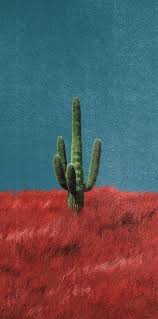 Wallpapers (32) butterfly wallpapers (106) buzz and woody wallpapers (64) cactus jack wallpaper (37) calendar (10) call of duty wallpapers (53) canelo alvarez wallpapers (58) cars. Cactus Jack Wallpaper 10 Cactus Jack Wallpaper Travis Scott Wallpapers Travis Scott Iphone Wallpaper