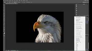 To change the background color to black, tap background then pick the color black from the color tab. Create Black Background In Photoshop Youtube