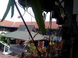 (1) kebijakan sekolah yanag berwawasan lingkungan. Sekolah Adiwiyata Smpn 1 Ciamis