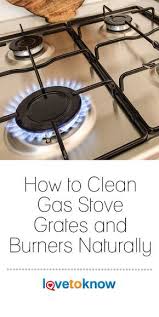 How To Clean Gas Stove Grates And Burners Naturally Lovetoknow Gas Stove Clean Stove Clean Dishwasher