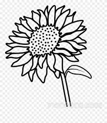 Stem Drawing Sunflower Sunflower Picture For Drawing Clipart 950852 Pinclipart Webstockreview provides you with 19 free outline clipart sunflower. stem drawing sunflower sunflower