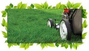 ✢ special price is for first tree and shrub application only and for new tree and shrub residential customers only. Lawn Mowing Service 10 Off For New Clients