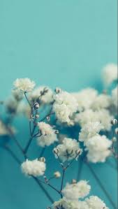 White Flowers Wallpaper For Android And Iphone Flowerwallpaper Prettyflower Beautifulflower Flowerart Flowerb Blue Flower Wallpaper Wallpaper White Flowers