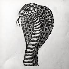 Thanks for watching and subscribe for more videos!in this video, draw a realistic snake, with the help of prismacolor colored pencils and gel pen. Trying To Learn How To Draw Reptiles Realistically Heres A Cobra That I Drew Snakes