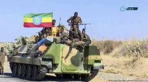 An outbreak was detected in oromia and somali regions of ethiopia related to camels. Ethiopian Army Marches On Tigray Capital World News The Indian Express