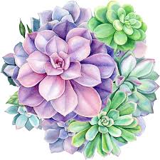 Check spelling or type a new query. Buy Diamond Painting Flowers Diy 5d Full Drill Diamond Painting Kits For Adults Kids Gem Pictures By Numbers Art Colorful Craft For Beginners Home Decoration 11 8x11 8in Succulents Online In Poland B08lgs7xq3