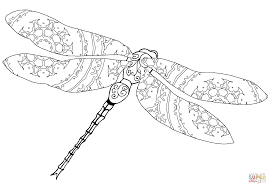 Free pdf dragon fly coloring pages. Dragon Fly Coloring Pages Coloring Home