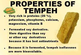 Properties Of Tempeh Botanical Online