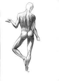 1208x662 how to male torso anatomy by valentina remenar. Carolina Nikiforova Anatomy Sketch Of A Male Body