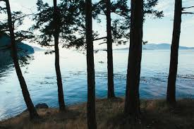 Man Sea Kayaking In The Distance Near San Juan Islands Washington Usa Stockphoto