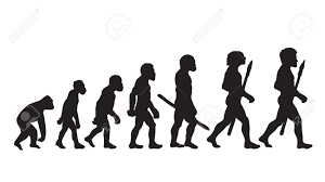 Human Evolution Human Evolution Chart Human Evolutionary Biology