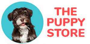 Puppies For Sale In Saint George Utah Puppy Store Dogs For Sale Puppy Store Puppies For Sale Dog Store