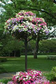 Petunias Plants Garden Beautiful Gardens